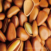 High Quality Low Price Natural Raw Pine Nuts